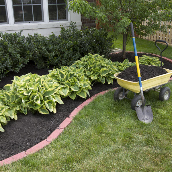 Gartenplaner, Gärtner & Hausmeister