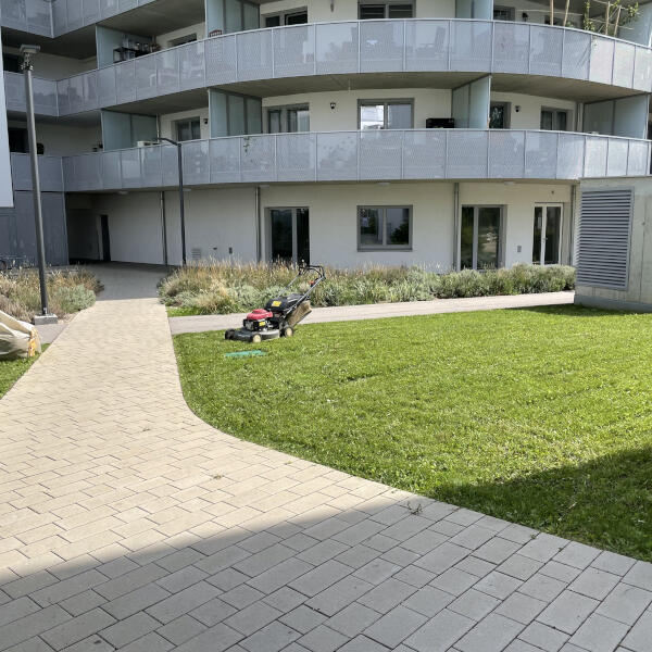 Rasenanbau oder Rollrasen in 1220 Wien