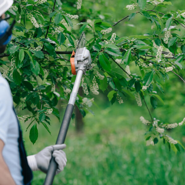 Gartengestaltung: Ein Garten, der zu Ihnen passt